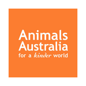 Untitled design (41)