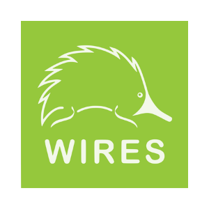 Untitled design (42)